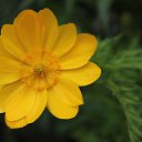 ���� ���������, ����������, 77 ��� - ��������� 2 ���� 2015 � ������ ���� ����������