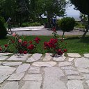 ���� �����, ������ - ��������� 28 ��� 2015 � ������ ������� 2015�