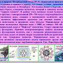 ���� ��������, �������������, 60 ��� - ��������� 24 ������ 2015 � ������ ������ ���� � �������