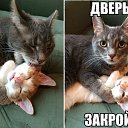 ���� ������, �����, 45 ��� - ��������� 29 ������� 2015 � ������ ������ ��������