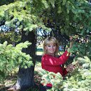 ���� �������, ���������, 52 ���� - ��������� 15 �������� 2015