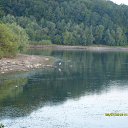 ���� ������, �������, 61 ��� - ��������� 8 ������� 2015 � ������ ������ ��������