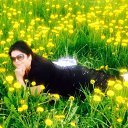 ���� ��������, �������, 53 ���� - ��������� 3 ���� 2015