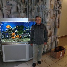 ���������, ������, 60 ���