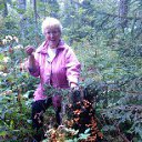 ���� �����, �����-���������, 77 ��� - ��������� 23 ������� 2015 � ������ ���� ����