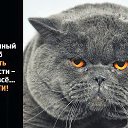 ���� �������, �����������, 61 ��� - ��������� 16 �������� 2015 � ������ ���� ����������