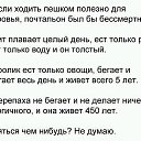 ���� ����, ����������� - ��������� 20 ��� 2015 � ������ �����������