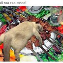 ���� ������, ��������, 50 ��� - ��������� 10 ��� 2015 � ������ ���� ����������