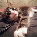 ���� �������, ������, 46 ��� - ��������� 13 �������� 2015 � ������ ������ ��������