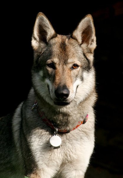 ������ ������ - 21 �������� 2015 � 10:00