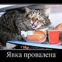 ���� ����, ���������, 42 ���� - ��������� 1 ������� 2015 � ������ ���-��