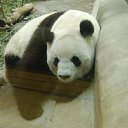 ���� Iga, ������� - ��������� 11 �������� 2015 � ������ ���� ����������