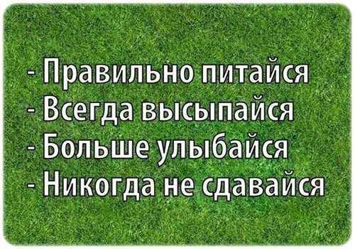   |  |  - 15  2015  15:03