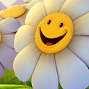 ���� ������, �������, 65 ��� - ��������� 17 ���� 2015 � ������ �������� ��������