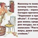 ���� ���������, �����-���������, 29 ��� - ��������� 9 ������� 2015 � ������ ������ ��������
