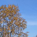 ���� �������, ��������� - ��������� 15 �������� 2015 � ������ ���� ����������