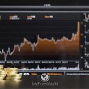 ���� �����, ������, 53 ���� - ��������� 1 �������� 2015 � ������ ������ ��������