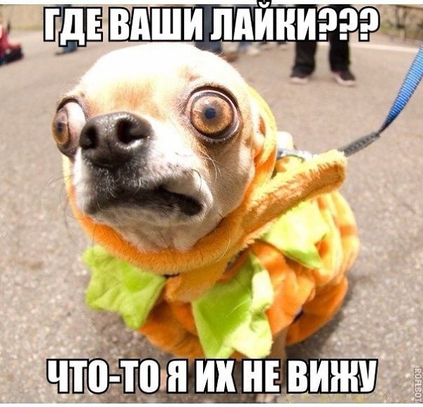    :D - 9  2015  19:00
