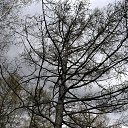 ���� �����, ������, 76 ��� - ��������� 27 ���� 2015 � ������ �����,������ ������