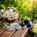 ���� ����, ������������ - ��������� 20 ������� 2015 � ������ ����λ