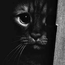 ���� Serghei, �������, 57 ��� - ��������� 14 ��� 2015