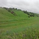 ���� ������, ���������, 53 ���� - ��������� 31 ��� 2015 � ������ ���� ����������