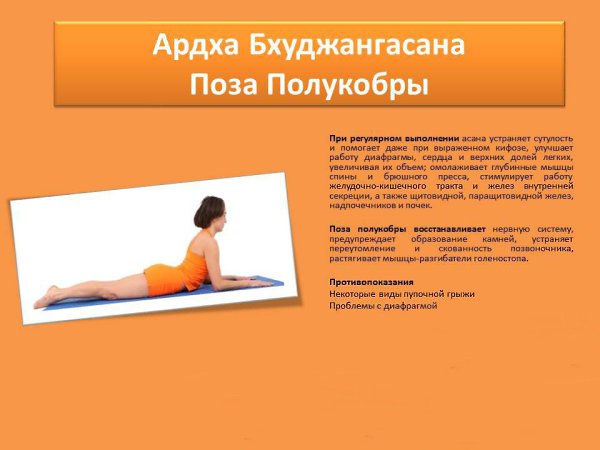 Йога в картинках на каждый день: омолаживающий, оздоровительный эффект - 5