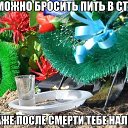 ���� �����, �����, 48 ��� - ��������� 14 ������� 2015 � ������ �6�