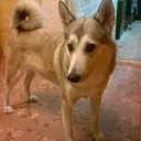 ��� �� ������� ���� ����������