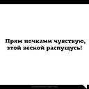 ���� ����, ������ - ��������� 23 ������ 2015 � ������ ������ ��������