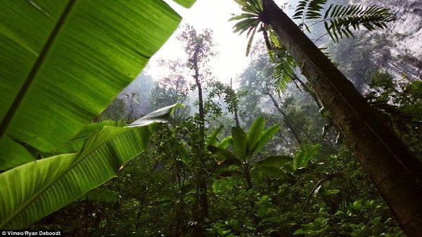     Hang Son Doong, .Hang Son Doong -  5- ,  ... - 5