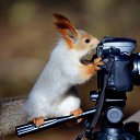 ���� ������, ������, 44 ���� - ��������� 11 ���� 2015 � ������ ���� ����������