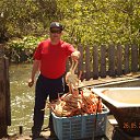 ���� ������, �������, 56 ��� - ��������� 27 ��� 2015