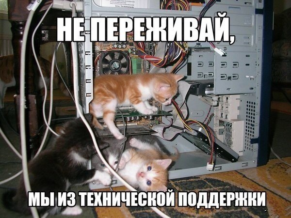    :-) - 13  2015  23:41