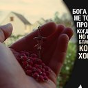 ���� ������, ������, 45 ��� - ��������� 17 ���� 2015 � ������ ���� ����������