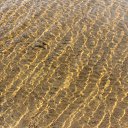 ���� �������, �����-���������, 55 ��� - ��������� 1 ���� 2015 � ������ ��������� ��������� �����