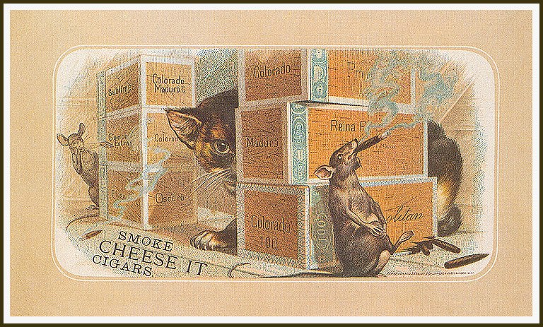 Cat in Old Ilustratives /     - 5