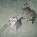 ������ ��������� ����� �����! ������� ������!