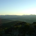 ���� ��������, ������, 48 ��� - ��������� 31 ������� 2015 � ������ ���� ����������