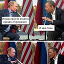 ���� ���������, ���������, 43 ���� - ��������� 6 ������� 2015 � ������ ���� ����������