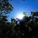 ���� �������, ������, 40 ��� - ��������� 31 ������� 2015 � ������ ���� ����