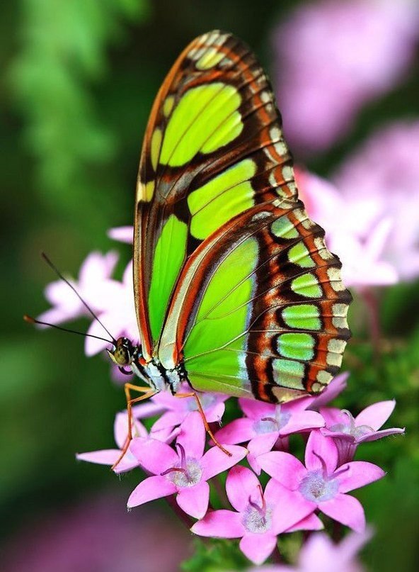 Где нет верности — там нет любви. - 5