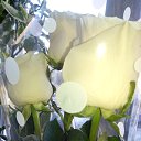 ���� Ann, ���������, 54 ���� - ��������� 29 ������ 2015 � ������ ���� ����������