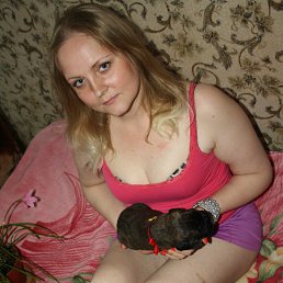 �����, ������