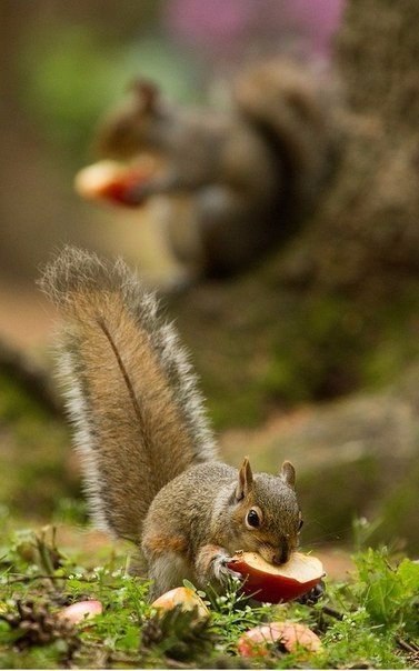   - 19  2015  18:15 - 4