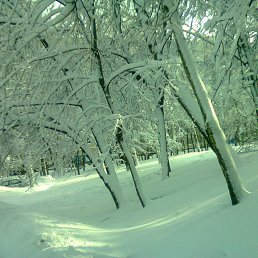 �������, ������, 59 ���