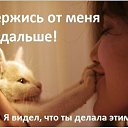 ���� ���������, ���� - ��������� 19 ��� 2015 � ������ ������ ��������