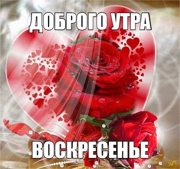  - 10  2015  06:42