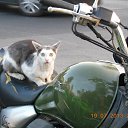 ���� ������, �����, 57 ��� - ��������� 29 ���� 2015 � ������ ������ ��������