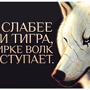  Ali, , 61  -  25  2015    